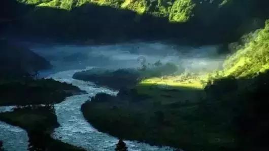 救援受困的火鸡